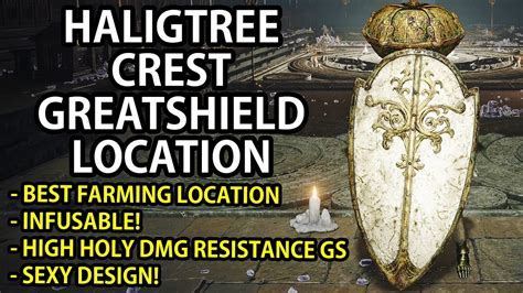 The Haligtree greatshield only drops from one knight in the Haligtree area, near the graves in the backside near the chapel. . Haligtree greatshield